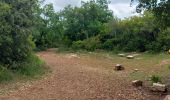 Trail Walking Montmeyan - les basses gorges de quinson - Photo 8