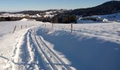 Tocht Sneeuwschoenen Les Moussières - Les poussières raquettes - Photo 2