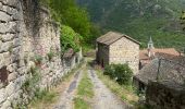 Trail Walking Pied-de-Borne - Le tour du chassezac - Photo 6