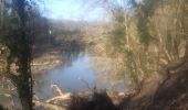 Trail Walking Chaudfontaine - petit tour dans le bois d Embourg - Photo 12