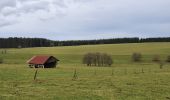 Trail Walking Libramont-Chevigny - rando laneuville(libramont)18/02/2021 - Photo 13