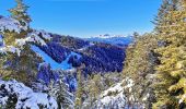 Tocht Ski randonnée Selonnet - 20210218 - Tête grosse - Chabanon - Selonnet - Photo 6