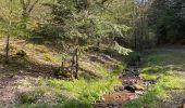 Percorso  Oberhaslach - Camping de luttenbach châteaux  - Photo 10