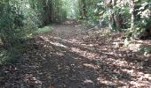 Trail Walking Valorbiquet - St Cyr du Ronceray  - Photo 2