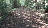 Tocht Stappen Valorbiquet - St Cyr du Ronceray  - Photo 2