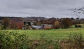 Tour Wandern Manhay - Deux Rys 161121 - Photo 2