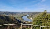 Excursión Senderismo Tournon-sur-Rhône - Tournon chemin St Joseph - belvédère de Pierre - Photo 2