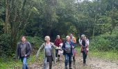 Trail Walking Maulévrier-Sainte-Gertrude - La Gertrude - Normandie - Photo 1