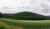 Trail On foot Beverungen - Weserhöhen-Wanderung 