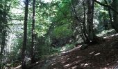 Tour Wandern Bellecombe-en-Bauges - montagne du charbon : montée par la piste Reposoir. col de bornette . refuge de la combe / retour même itinéraire sauf par les champs et bois depuis bornette  - Photo 17