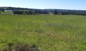 Randonnée Marche Peyre en Aubrac - le circuit des croix en partant de Aumont Aubrac  - Photo 7