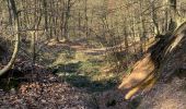 Trail Walking Halle - Bois de Halle - Photo 2