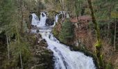 Percorso Marcia Sapois - balade Vosges  - Photo 1