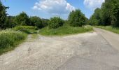 Trail Walking Neufchâteau - Tronquoy - Respelt - Photo 12