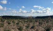 Trail Walking Gouvy - Gouvy 23 km  - Photo 8