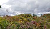 Trail Walking Orbey - Tour des 3 lacs (lac noir, blanc, Forlet) Vosges - Photo 8