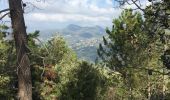 Tour Wandern Nizza - Mont Leuze - Photo 9