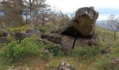 Percorso Marcia Nant - Nant-Causse Begon-St Jean du Bruel - Photo 8