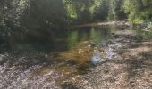 Tour Wandern Hyères - verger du pont - Photo 1