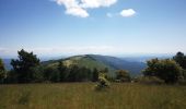 Tour Wandern Castellet-en-Luberon - Mourre du Grd Lubéron, crêtes et versant Nord  - Photo 4