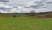 Tocht Stappen Gedinne - Balade à Malvoisin - Gedinne - Photo 11