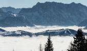 Trail On foot Tarvisio - AT-522 - Photo 9