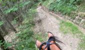 Trail Horseback riding Roybon - Roybon  - Photo 17