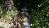 Trail Walking La Roche-des-Arnauds - SityTrail - Circuit de la combe du Duc - Photo 14