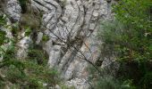 Randonnée Marche Castellane - Clot d'Aremus - Chasteuil - Chapelle St Jean - Castellane - Photo 11