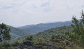 Randonnée Marche Pierrefeu-du-Var - Pierrefeu du var - les Baisses - Photo 8