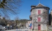 Tour Zu Fuß Auriac-Lagast - Ronde des lacs du Levezou - Photo 8