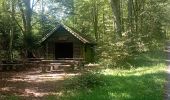 Trail Walking Lemberg - lemberger rothenbergerweg - Photo 12