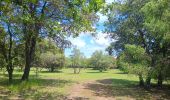 Tour Wandern Saint-Bonnet-du-Gard - mon 8 du pont du Gard  - Photo 16