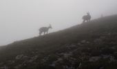 Trail Walking Gresse-en-Vercors - Le Grand Veymont - Photo 5