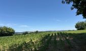 Tour  Attert - Balisage GR15 - Photo 3