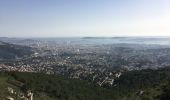 Tour Wandern Évenos - Mont Caume +Baou des 4 Oures au départ du col de garde - Photo 2