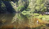 Tour Mountainbike Münster im Elsass - Munster Schiessrothried Fischboedle Munster - Photo 2