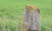 Tocht Te voet Bad Staffelstein - Keltenweg B - Photo 2