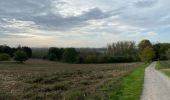 Tour Wandern Asse - Asse 10,7 km - Photo 5