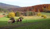 Tour Zu Fuß Hessisch Lichtenau - Premiumweg Reichenbach - Photo 3