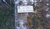 Trail Snowshoes Bellecombe - les trois cheminees - Photo 4
