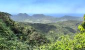 Tour Wandern Le Lorrain - Boucle Morne Jacob - Photo 1