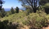 Tocht Stappen La Ciotat - Sémaphore du Bec de Lièvre - Photo 3