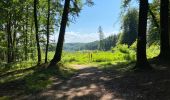 Trail Walking Steinfort - Steinfort  12,5 km  - Photo 9