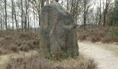 Tocht Te voet Maasmechelen - Mechelse Heide Groene rechthoek - Photo 4