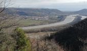 Trail Walking Arras-sur-Rhône - Arras surt Rhône 13 km - Photo 2