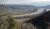 Randonnée Marche Arras-sur-Rhône - Arras surt Rhône 13 km - Photo 2