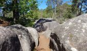 Randonnée Marche Barbizon - Gorges d'Apremont depuis Barbizon - Photo 2