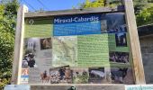 Randonnée Marche Miraval-Cabardès - La Tourette Cabardès Miraval - Photo 1