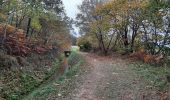 Trail Walking Cardeilhac - arboretum de cardeilhac  - Photo 4